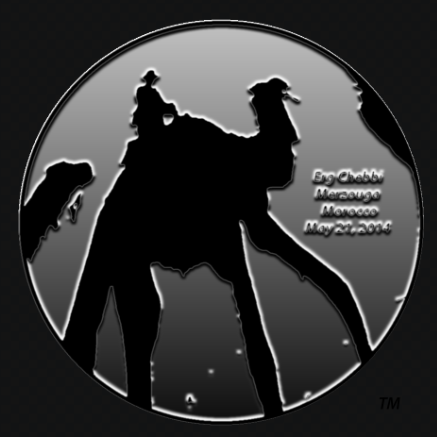 camelMaps Trademark Logo - Official Branding